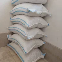 تخمه کدو گوشتی|خوردنی و آشامیدنی|شیراز, گلشن|دیوار