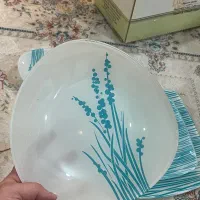 سرویس غذا خوری آذین اوپال