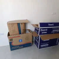 کارتن کولر