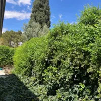 رهن-ویلایی-خانه-چوبی-نیمه-بازسازی-شده-شمالی