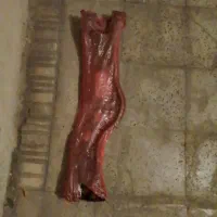 رام زیر موتور پراید
