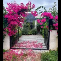 باغچه خوش نشین187زمین/89بنا/2خوابه/سنددار