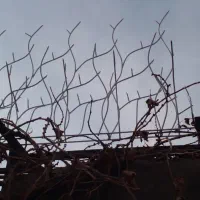 جوشکاری سیار جواد امانی