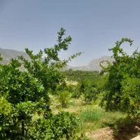 باغ-اناری-کوهمره-سرخی