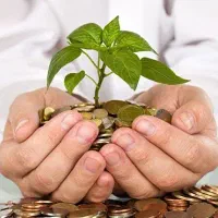 سرمایه و کار