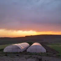 سازه گلخانه|عمده‌فروشی|چناران, |دیوار