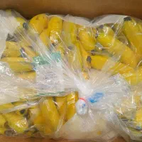 عرض میوه های لوکس مجالس|خوردنی و آشامیدنی|تهران, میدان میوه و تره‌بار مرکزی|دیوار