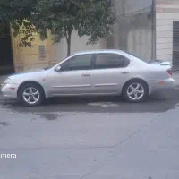 ماکسیما۸۱