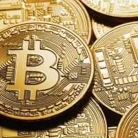 تریدر ـ تحلیلگر هستم ـ جذب سرمایه گذار