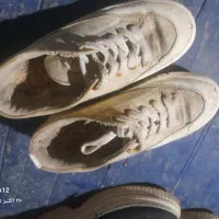 کفش|کیف، کفش، کمربند|رشت, عینک|دیوار