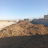 کود گاوی خشک و درجه یک بدون اشغال و ماسه بادی