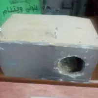 لونه مرغ عشق وکوتوله