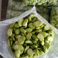 سبزی سرخ شده/ آبلیمو/آبغوره/ نخود و باقالی مجلسی