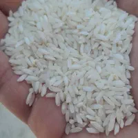 برنج عنبر بو سوپر ممتاز عطری موجود شد|خوردنی و آشامیدنی|پرند, فاز ۵|دیوار