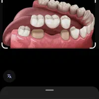 آموزش حرفه ای کار درمانی و زیبایی دندانپزشکی|خدمات آموزشی|تهران, مهرآباد جنوبی|دیوار