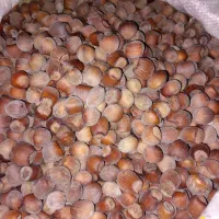 فندق درجه یک جنگلی|خوردنی و آشامیدنی|نمین, |دیوار