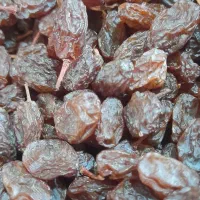 کشمش بیدانه|خوردنی و آشامیدنی|تاکستان, |دیوار
