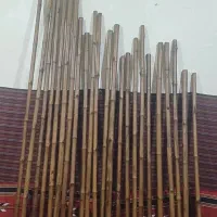چوب(جنایه)خیزران،فاله