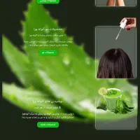 طراحی سایت و سئو و تولید محتوا سایت