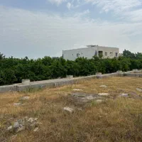 ۹ هزار متر زمین صنعتی برای سوله و سردخانه|فروش دفتر صنعتی، کشاورزی، تجاری|کیاکلا, |دیوار