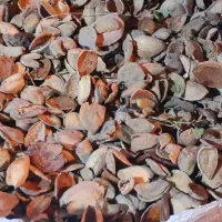 خوراک دام و طیور با کیفیت بالا