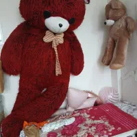 خرس ۳ متری ولنتاین