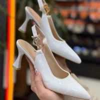 مجلسی ysl