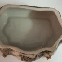 ظروف دکوری و پذیرایی