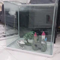 آکواریوم سفید با لوازم جانبی