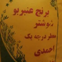 برنج عنبر بو