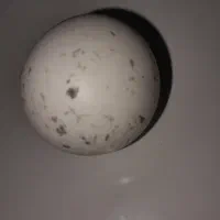 سنگ آسیاب|کلکسیون اشیاء عتیقه|سنندج, |دیوار