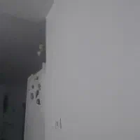 همخونه