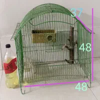 قفس پرنده عروس هلندی