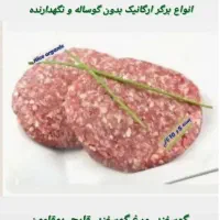 فروش جزئی و عمده انواع همبرگر|خوردنی و آشامیدنی|تهران, آهنگ|دیوار