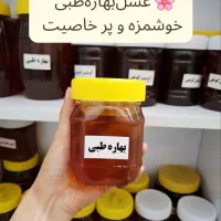 محصولات ملایر ـ شیره انگور و کشمش|خوردنی و آشامیدنی|ساوه, |دیوار