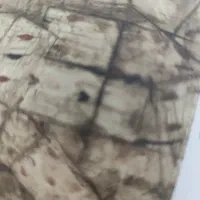 گمشده انگشتر شرف الشمس