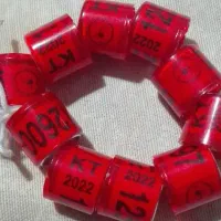 حراج یافروشی هستن|حراج|برازجان, |دیوار