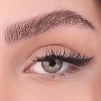 میکروبلیدینگ(آرایش دائم ابرو) توسط پیگمنتر مشهدی