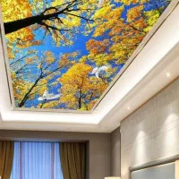 اجرای انواع سقف کاذب کناف،آسمان مجازی،آرمسترانگ|خدمات پیشه و مهارت|لنگرود, |دیوار