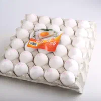 فروش عمده انواع بسته بندی تخم مرغ و تخم بلدرچین|عمده‌فروشی|قم, خداکرم|دیوار