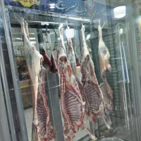 گوشت گوساله. وبره نرینه|خوردنی و آشامیدنی|بجنورد, |دیوار