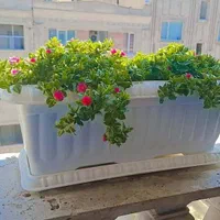 درخواست اجاره مسکونی