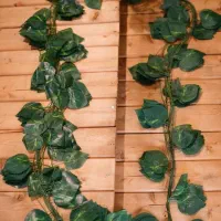 ریسه برگ ۱۲ تایی