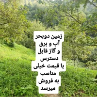 باغ واقع در خطبه سرا|فروش زمین و ملک کلنگی|لیسار, |دیوار