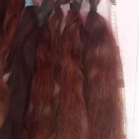 موی طبیعی|آرایشی، بهداشتی، درمانی|تهران, شکوفه (عبدل آباد)|دیوار