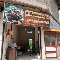 نیرو کار خانم