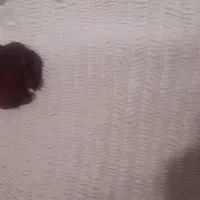 بلوزمجلسی دخترانه|لباس|تبریز, |دیوار