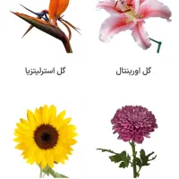 دوره ۲ ماهه گل آرایی با تخفیف ۳ میلیونی اصفهان|خدمات آموزشی|خمینی‌شهر, |دیوار