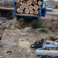 خرید چوب تر و خشک، سقفی ،برش درختان حیاط وباغ