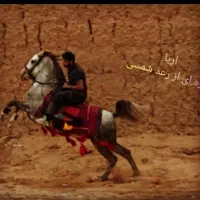 اسب درجه یک|اسب و تجهیزات اسبسواری|یزد, |دیوار